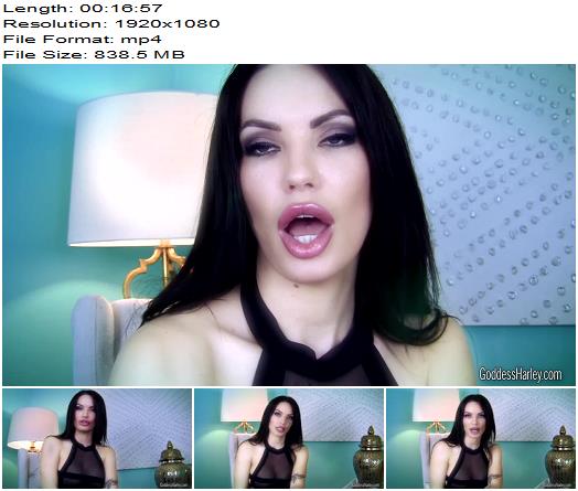 Amazon Goddess Harley Hand Job Virtual Date preview