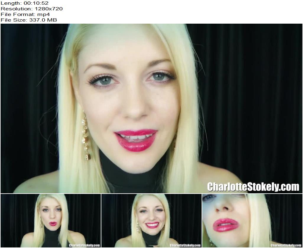 Charlotte Stokely  The Pretty Face That Ruins You preview
