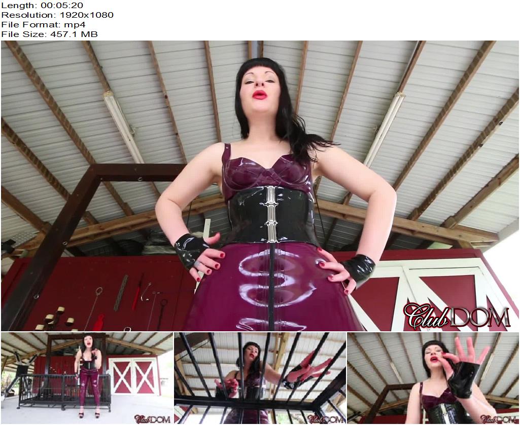 ClubDom  Caged Slave Dicklet Instruction POV preview