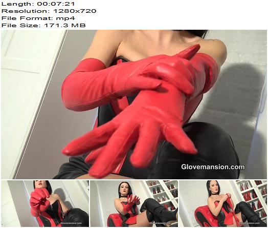 Glove Mansion  Addict for My vintage leather gloves preview
