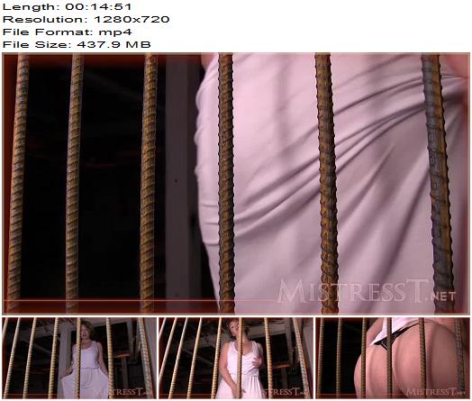 Mistress T  Caged and Teased preview