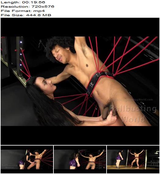 Ballbusting World  Chloe  Bound For Ballbusting preview