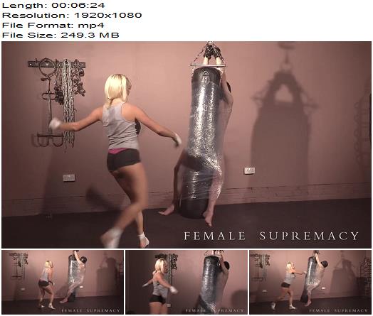 Female Supremacy  Mistress Tess  A Human Punchbag preview