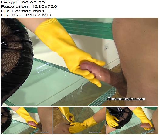 GloveMansion  Milked by the maids gloves preview
