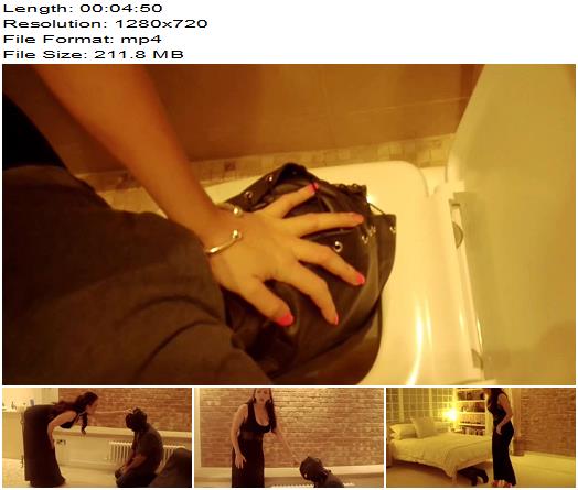 Lady Nina Leigh  Toilet Slave Wasteman preview