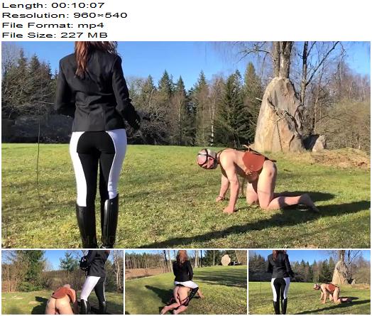Danish Femdom  Lets Ride  Pony Play preview