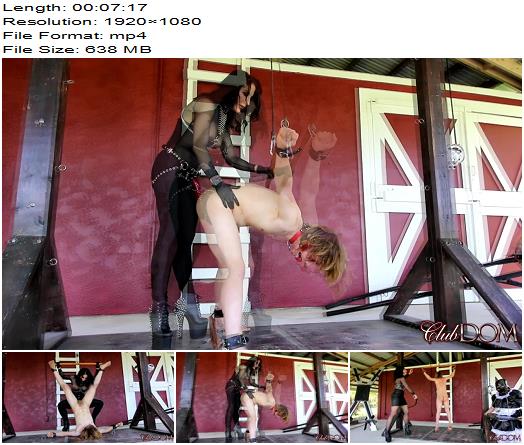 ClubDom  Temptress Raven Ravishes Her Bitch  Part 5  Pegging preview