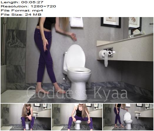 Goddess Kyaa  Toilet Fetish Humiliation 3 preview