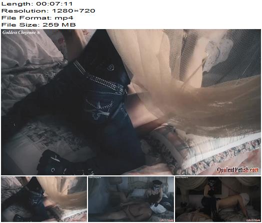Opulent Fetish  Goddess Chayenne  Forced Entry  Strapon preview