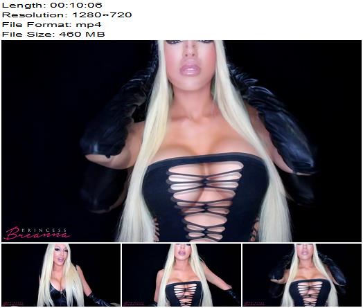 Princess Breanna  My Top Clips  Findom preview