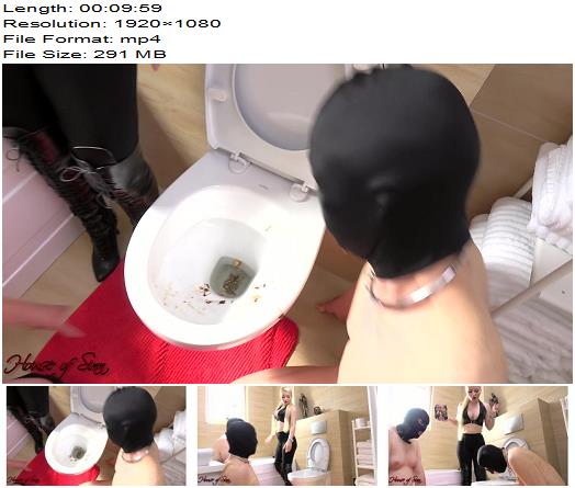 House Of Sinn  Best Toilet Licker Gets The Job 1080 HD  Miss Sarah  Toilet preview