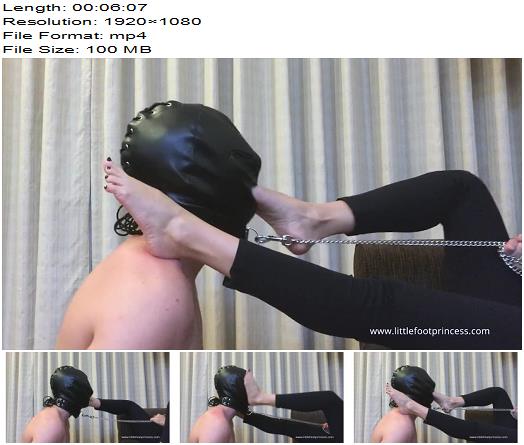Slave Worships My Feet And Gets His Face Slapped By My Feet  Foot Domination preview