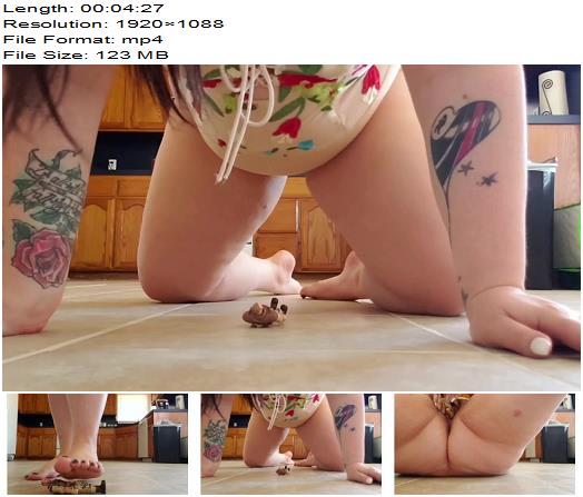 Giantess makes u her foot  toilet slave  Spitting preview