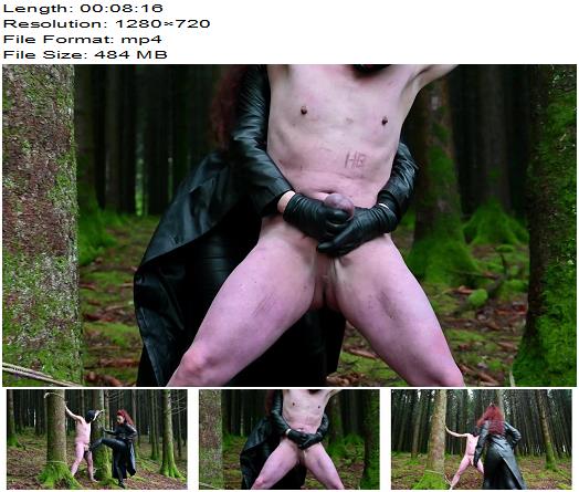 Mistress Lady Renee  Kicked Between The Trees 720 HD  Ballbusting preview