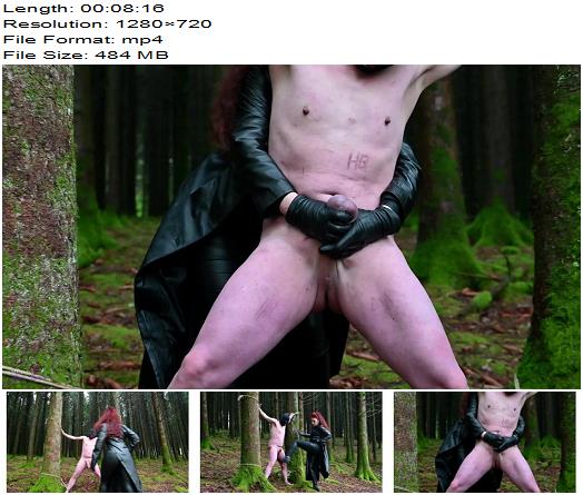  Mistress Lady Renee  Kicked between the trees  preview