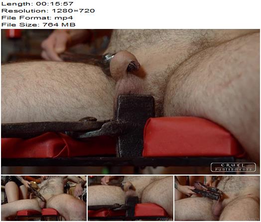 Cruel Punishments  Severe Femdom  New torture dungeon part 3  Mistress Anette  Ball Abuse preview