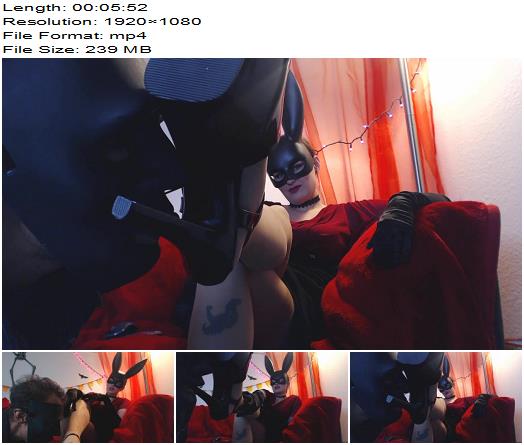 Mistress Alace Amory  Follow the Black Rabbit Part 1 Sucking her Heels  preview