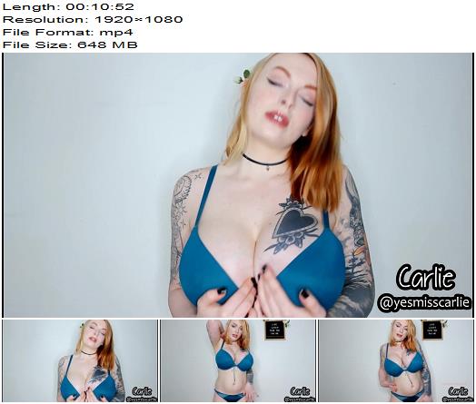 Carlie  Seduced into Being My Stroke Slave  Instructions preview