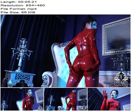  Goddess Tangent World of Femdom  Red Latex Worship  preview