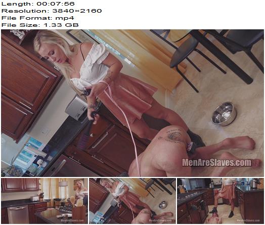 Men Are Slaves  Correcting The Male Domestic  Sorceress Bebe  Part 2 4K  Ballshocker preview