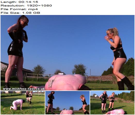  Mistress Tess UK Clip Store  Rematch of 1966  Ballbusting  preview