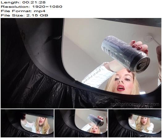 Spoilt Princess G  My garbage slave disposal  Humiliation preview