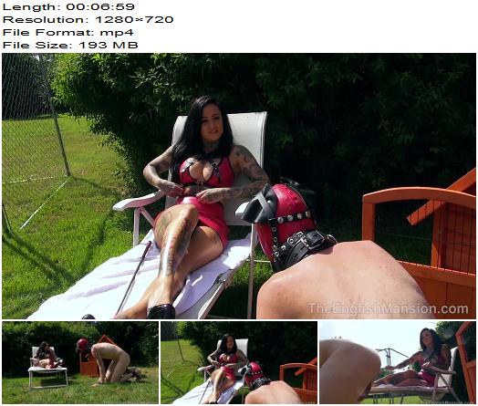 The English Mansion  Miss Annalisa  A WellTrained Pup  Part 1  Humiliation preview