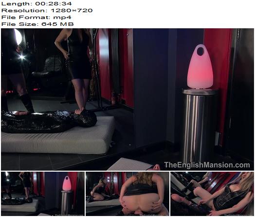 The English Mansion  Mistress Sidonia and Mistress T  Taken For Sex  Complete  Hot Femdom preview