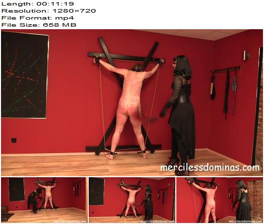 Merciless Dominas  Herrin Bestrafungs New Slave  The Back  Whipping preview
