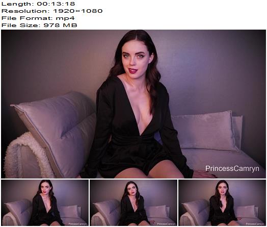 Princess Camryn  The FinDom Theory  Mesmerize preview