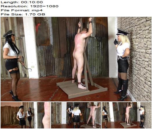 The British Institution  Ravens First Bullwhipping  Female Domination preview