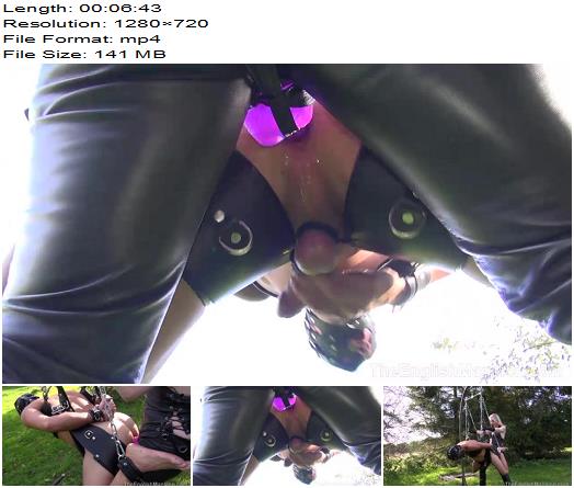  The English Mansion  Suspension Swing Strapon  Part 3   Mistress Sidonia preview