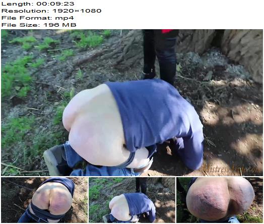 Mistress Iside  Public Torture 1080 HD  Humiliation preview
