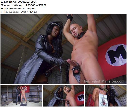 The English Mansion  Male ReEducation Centre  Complete Movie  Miss Foxx  CBT preview