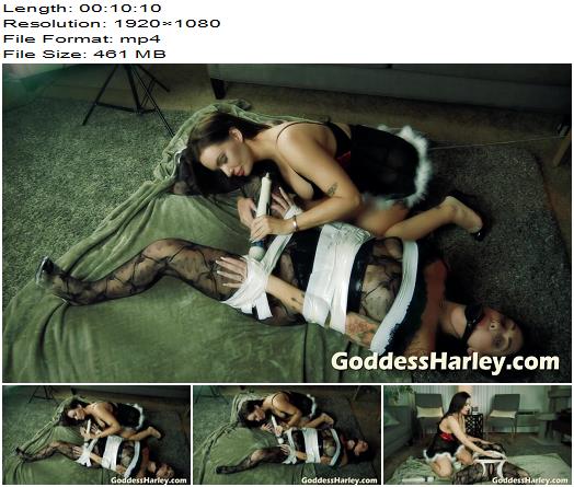 AMAZON Goddess Harley  Finding Submission 05  Squirm  Lezdom preview