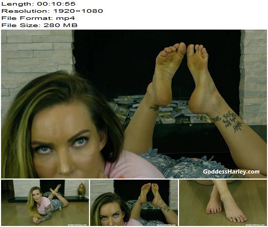 AMAZON Goddess Harley  Ruined Dribble Foot Slave  CEI preview