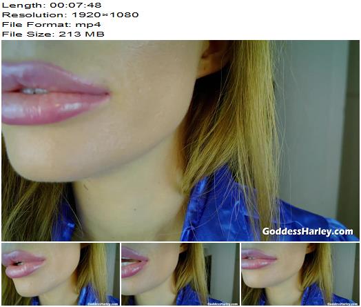 Amazon Goddess Harley  Stroke Or Not Game 2 Fag  Forced Bi preview