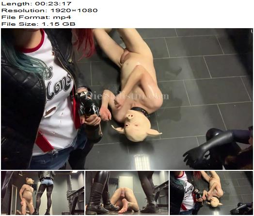 DieSadistin  Ballbusting Inferno Zu Karneval 1080 HD  Ball Abuse preview