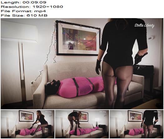Stella Liberty  Nylon Encasement for Candi Cumdump  Human Furniture preview