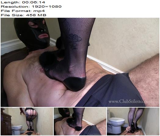 ClubStiletto  Lennoxs Trampled Toilet 1080 HD  Trampling preview