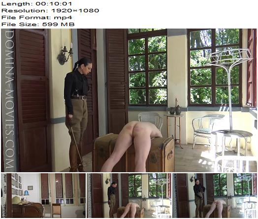  MADAME CATARINA  CRUELEST BEAUTY  Safari Caning Stable Boy Boot Service Chapter Two  preview