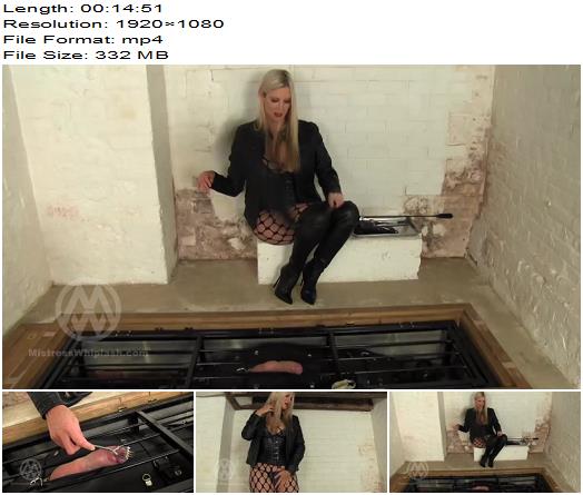 Mistress Nikki Whiplash  Confined Cock Torture and whipping WL1478  Bondage preview