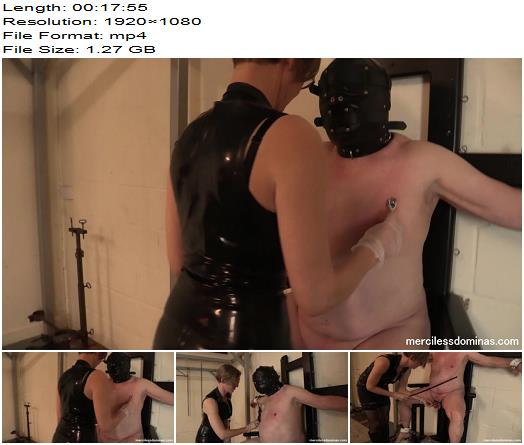Merciless Dominas  CBT As It Should Be   Mistress Silver  preview
