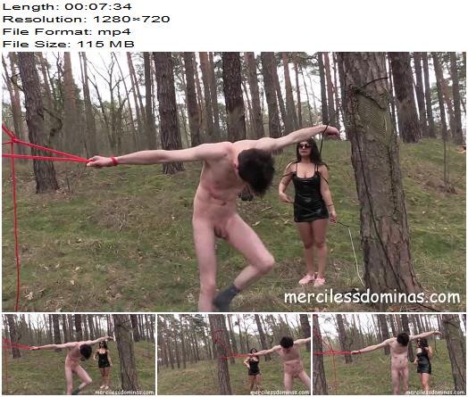 Merciless Dominas  Whipping in the Wood   Mistress Mia  preview