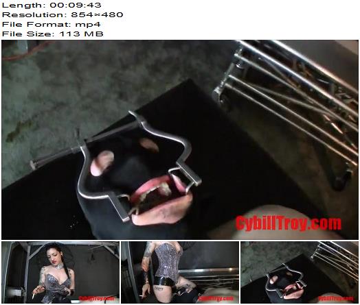 Cybill Troy FemDom AntiSex League  Gagged Ashtray Whore  preview