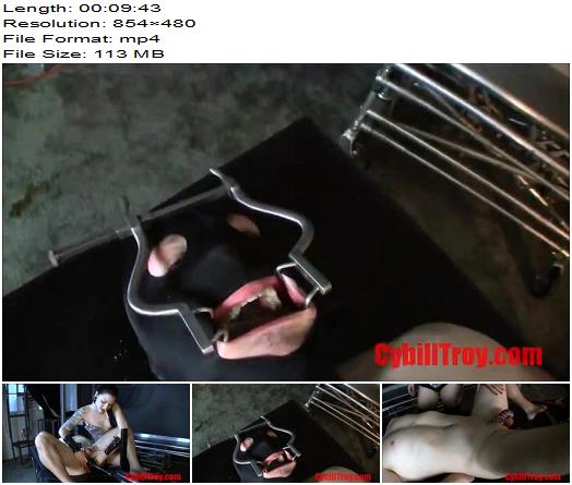 Cybill Troy  Gagged Ashtray Whore  Human Ashtray preview