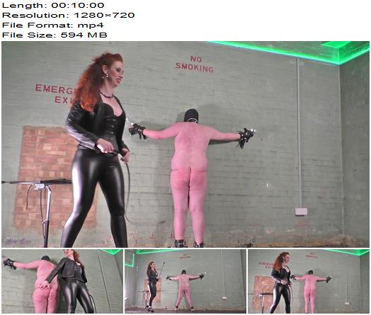 Mistress Lady Renee  Basement Bullwhipping 720 HD  Whipping preview