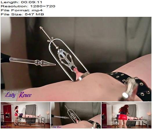Mistress Lady Renee  Zapped On The Head 720 HD  Electric preview