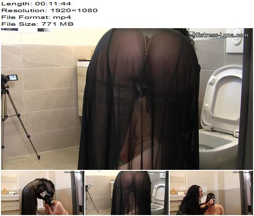 Mistress Luna  Toilet Slave 1080 HD  Female Domination preview