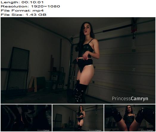 Princess Camryn  Your Last Jerk On Earth  Instructions preview